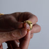 Jasper 1.0 Gold
